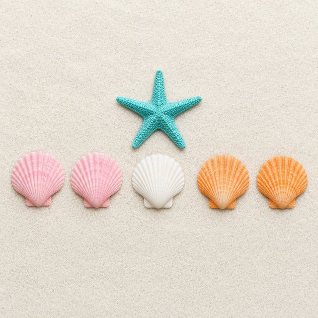 Exactly five seashells lie on pale sand: two pink shells on the left, one white shell in the center, and two orange shells on the right. A turquoise starfish sits above the center shell, nothing else. — GPT Image 2