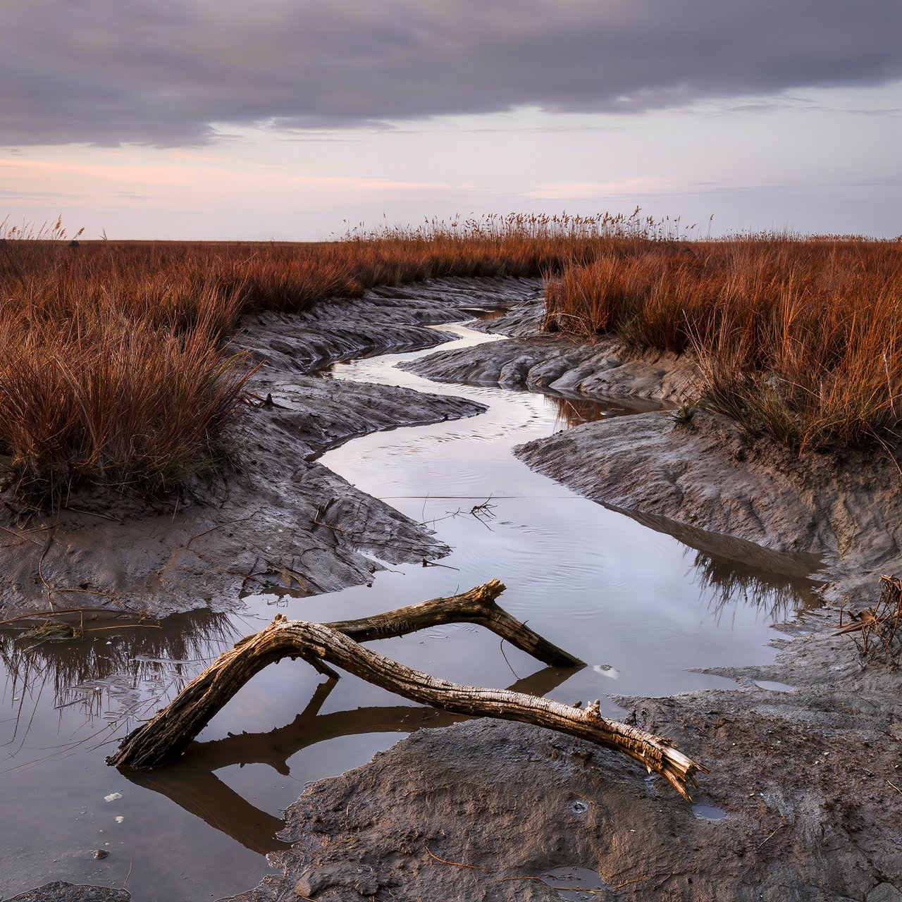 An expansive salt marsh at low tide under a pale overcast afternoon, winding channels reflecting silver sky between russet grasses, a weathered driftwood branch in the foreground, distant reeds and receding mud ridges revealing layered depth and wet natural texture. — Kling v3