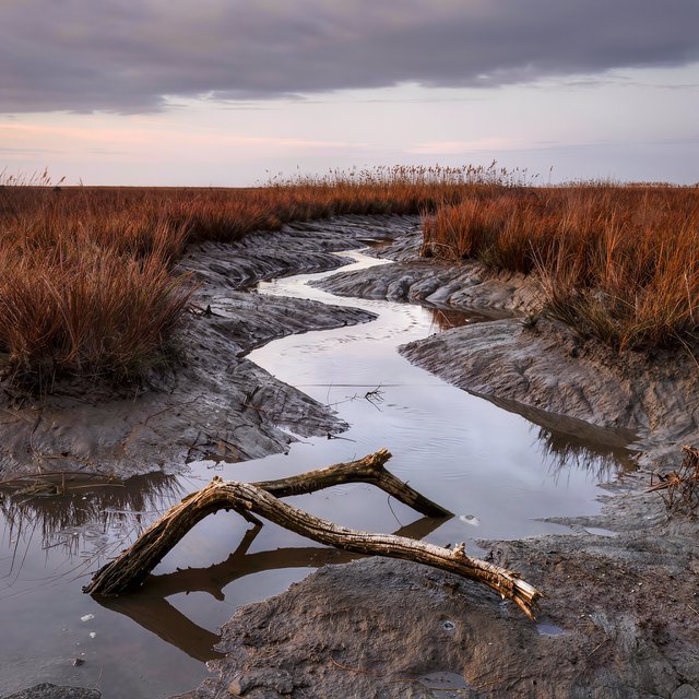 An expansive salt marsh at low tide under a pale overcast afternoon, winding channels reflecting silver sky between russet grasses, a weathered driftwood branch in the foreground, distant reeds and receding mud ridges revealing layered depth and wet natural texture. — Kling v3