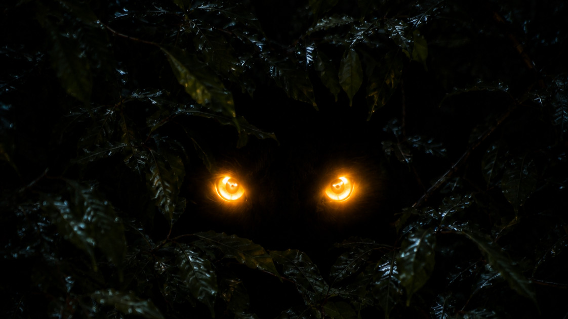 The tale of Caesaria Part II: Demon Eyes
