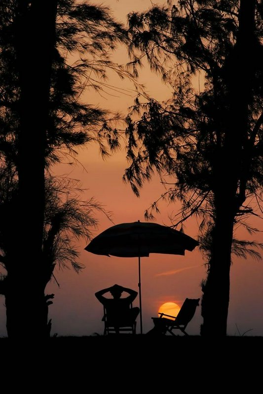 Silhouette of relaxed person under beach umbrella between trees, watching warm orange coastal sun...