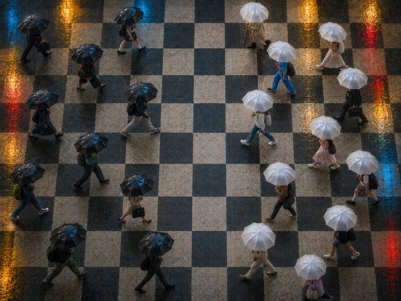 Overhead aerial view of pedestrians holding black and white umbrellas walking across a wet checke...