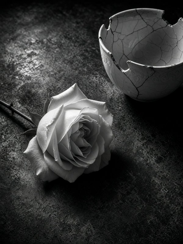 Monochrome still life of a fresh white rose beside a cracked broken ceramic bowl on a dark textur...