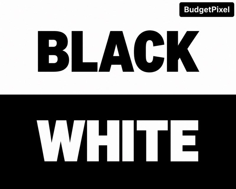 Split horizontal monochrome background with contrasting bold uppercase text reading BLACK on whit...