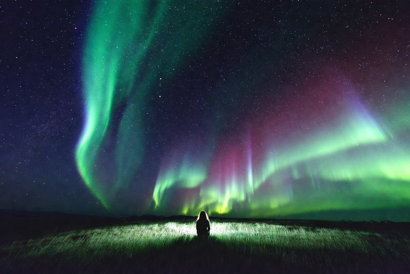 Person sitting in a field watching vibrant green and purple Northern Lights under a starry night ...