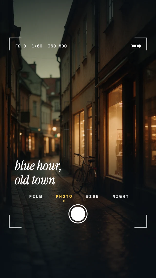 Camera viewfinder story template