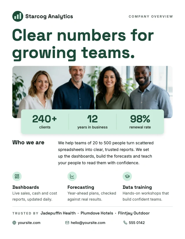 Company one-pager template