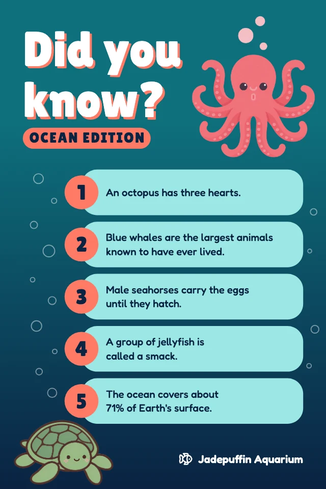 Did you know facts infographic template