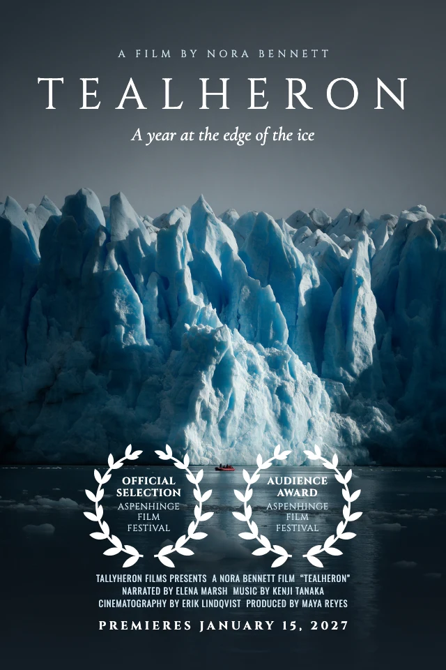Documentary film poster template