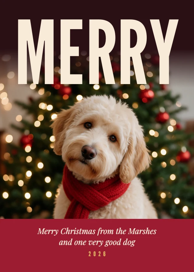 Dog Christmas photo card template