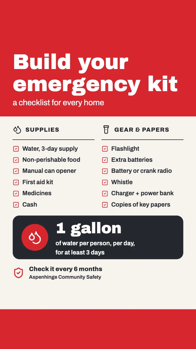 Emergency kit checklist infographic template