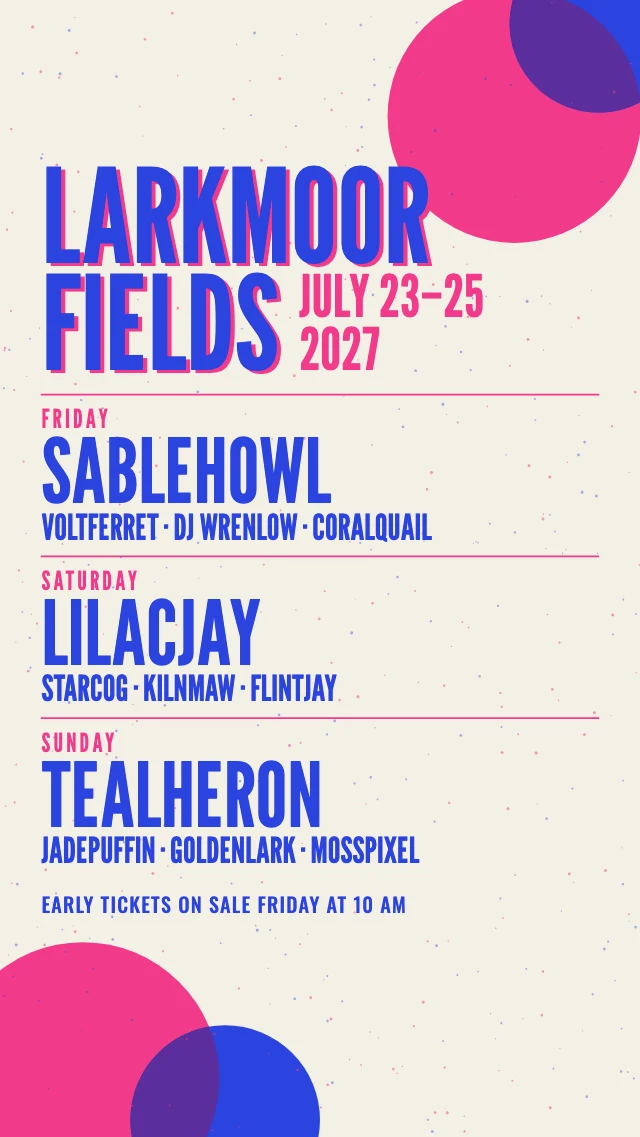 Festival lineup story template
