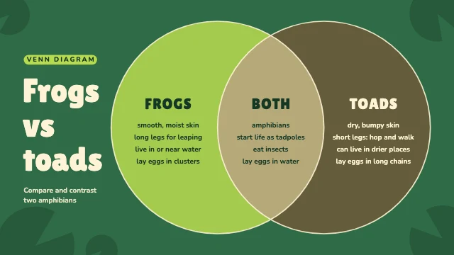 Frogs vs toads Venn diagram template