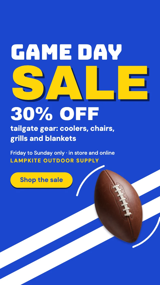 Game day sale story template