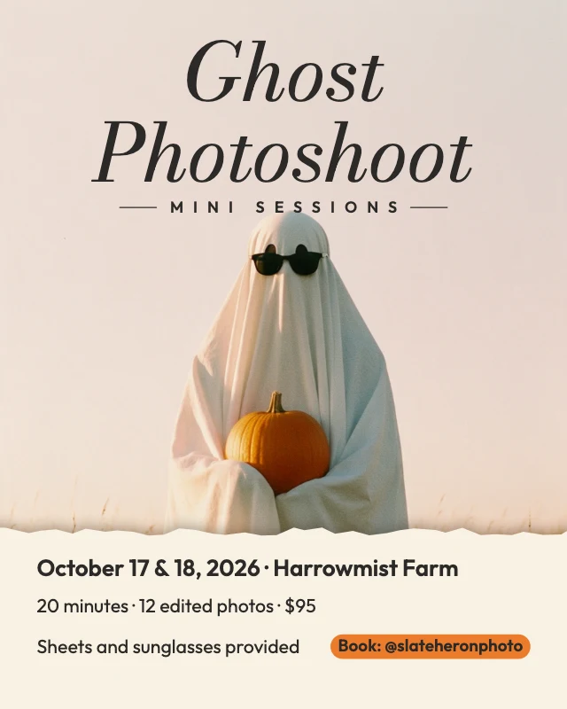 Halloween mini sessions post template