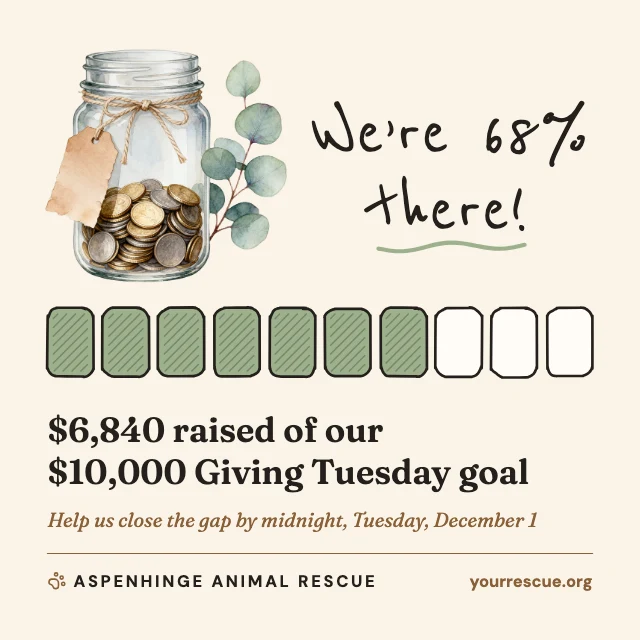 Fundraising goal tracker post template