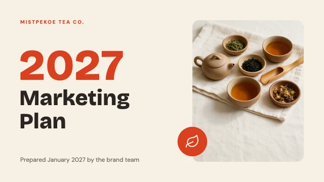 Marketing plan presentation template