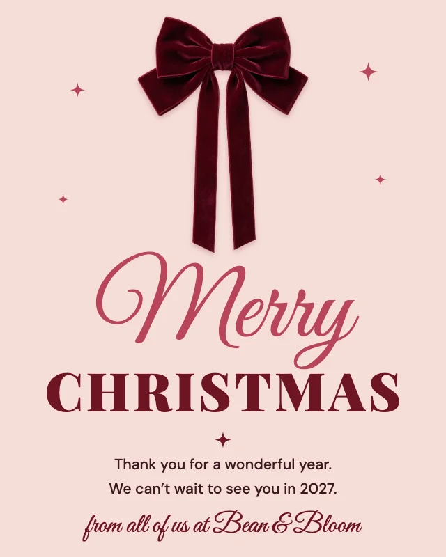 Merry Christmas greeting post template