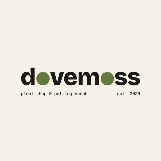 Minimal wordmark logo template