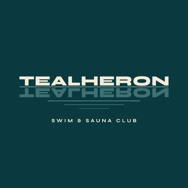 Mirrored reflection logo template