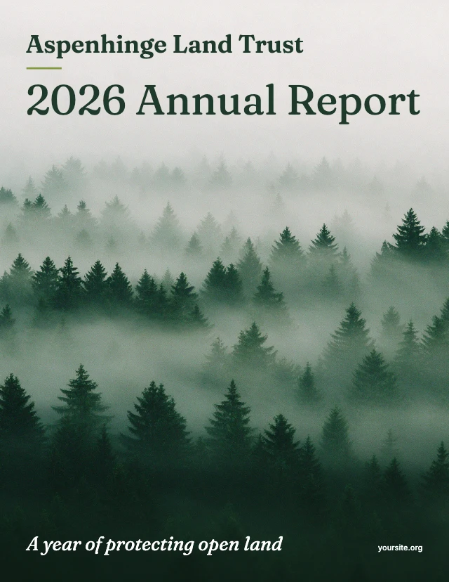 Nonprofit annual report template