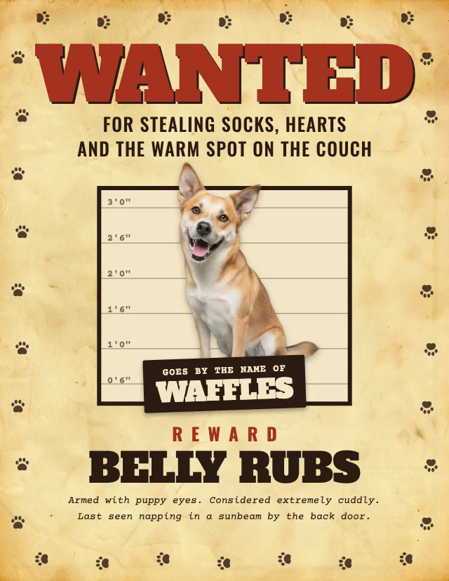 Funny pet wanted poster template