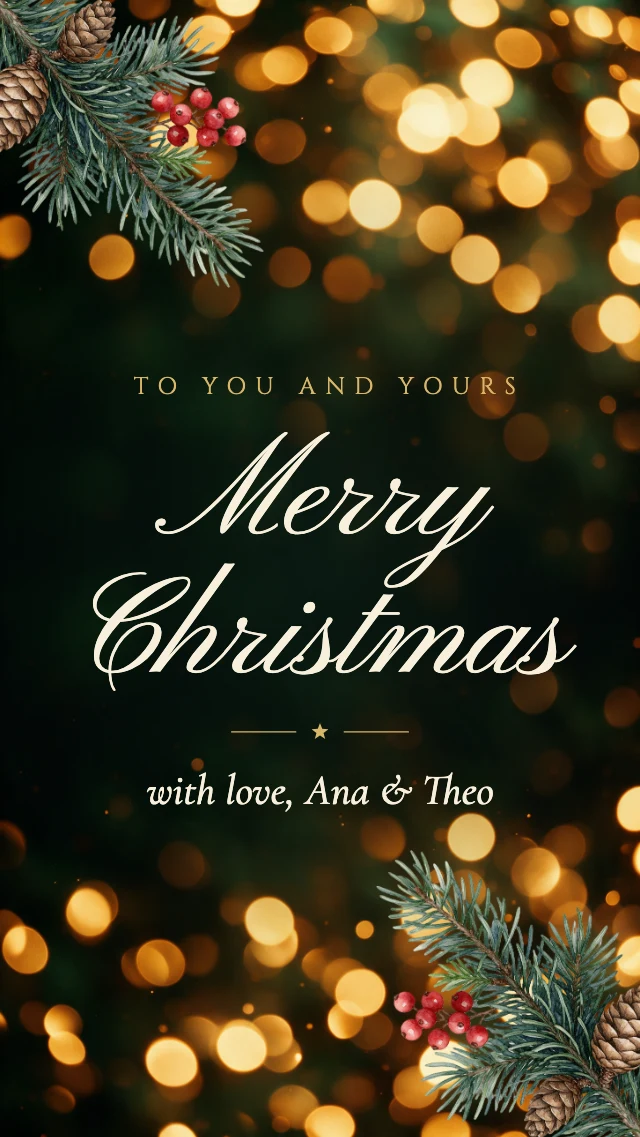 Merry Christmas Instagram story template