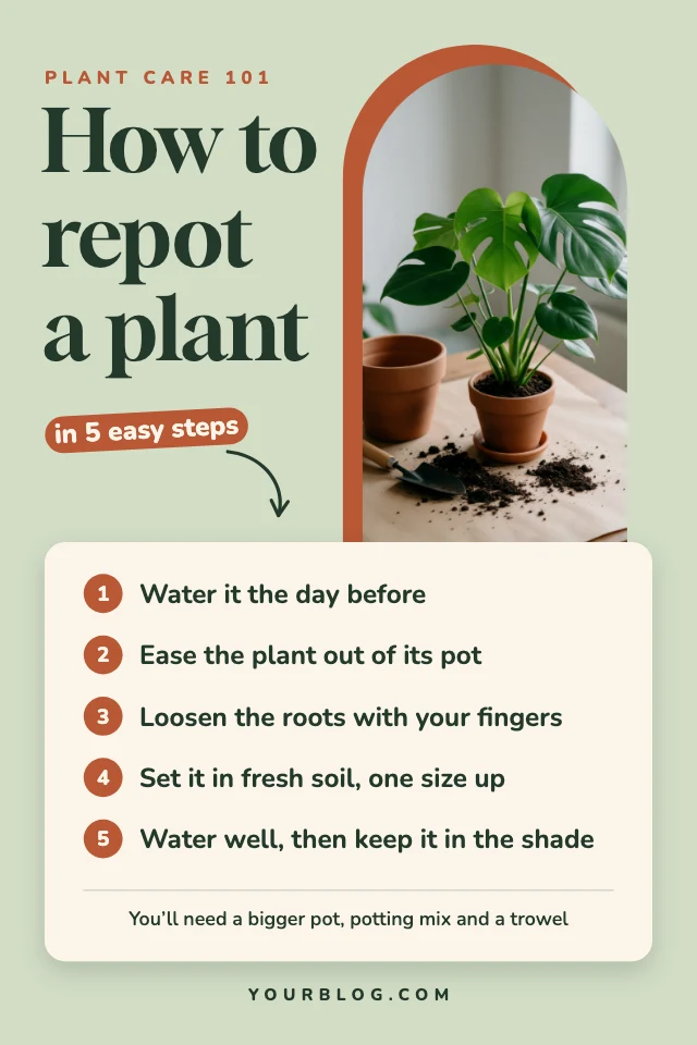 Plant care how-to pin template
