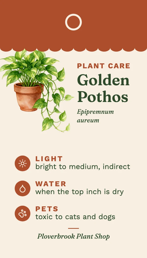 Plant care tag template