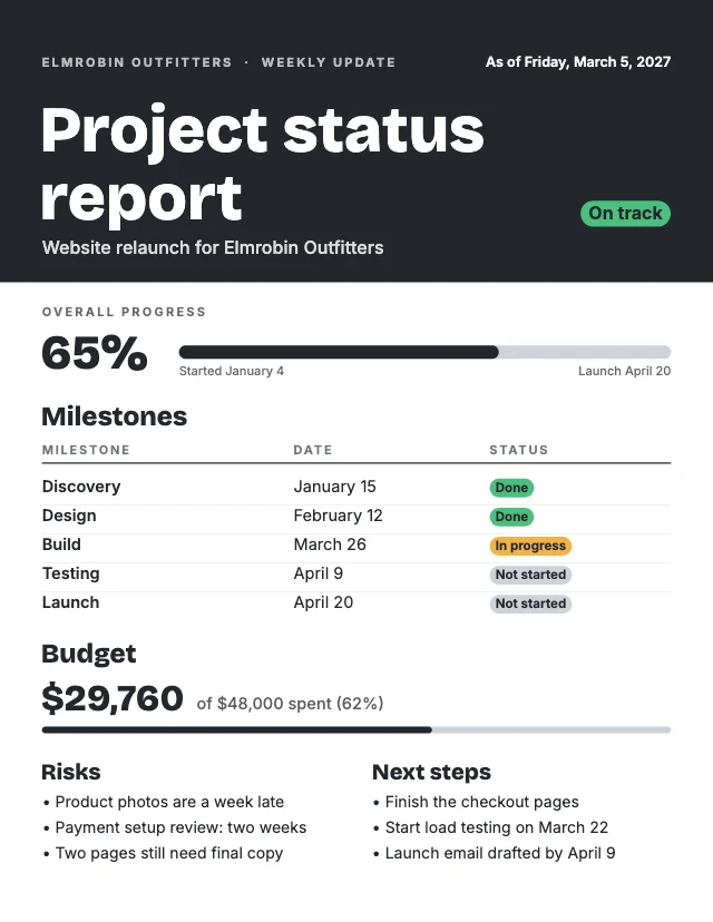 Project status report template