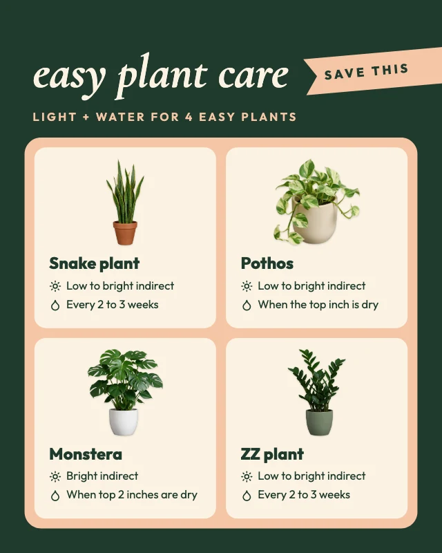 Houseplant care cheat sheet template