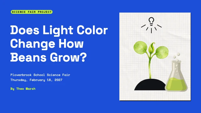 Science fair project presentation template