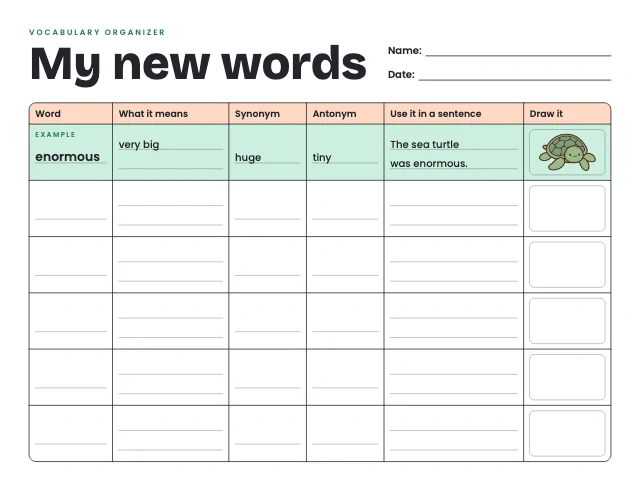 Vocabulary organizer template