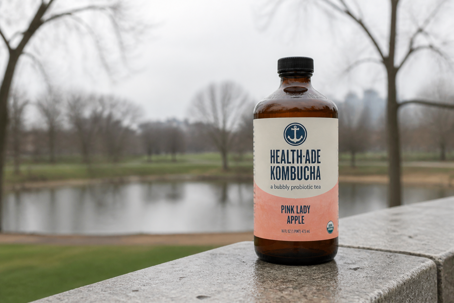 Botanical kombucha ad (before)