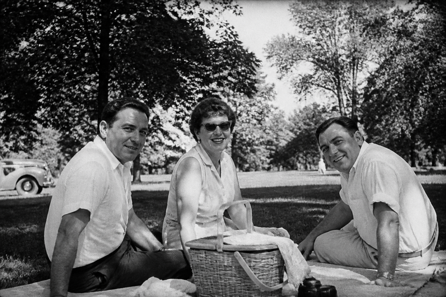 1960s picnic in full color (before)