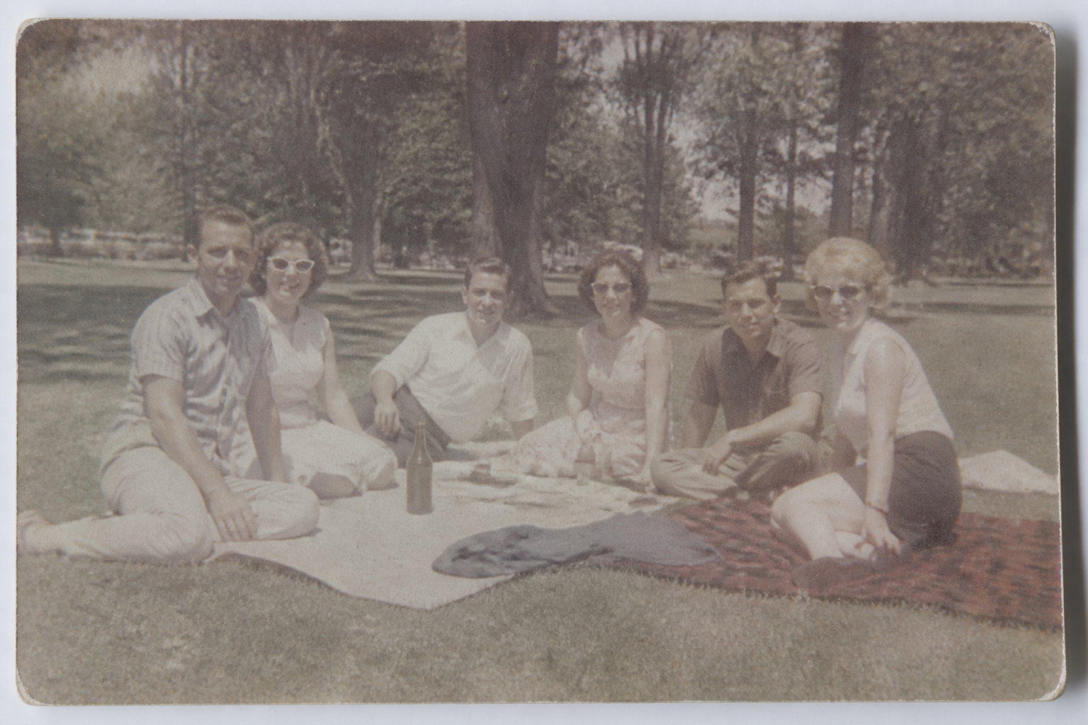 Sharper picnic group photo (before)