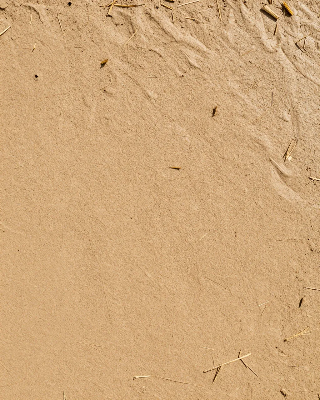 Full frame close-up of a smooth adobe mud surface with scattered embedded straw fragments under even light