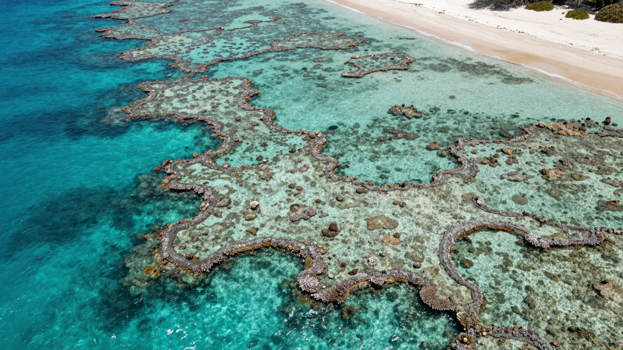 Aerial view of winding coral reefs in turquoise clear water next to a white sandy beach