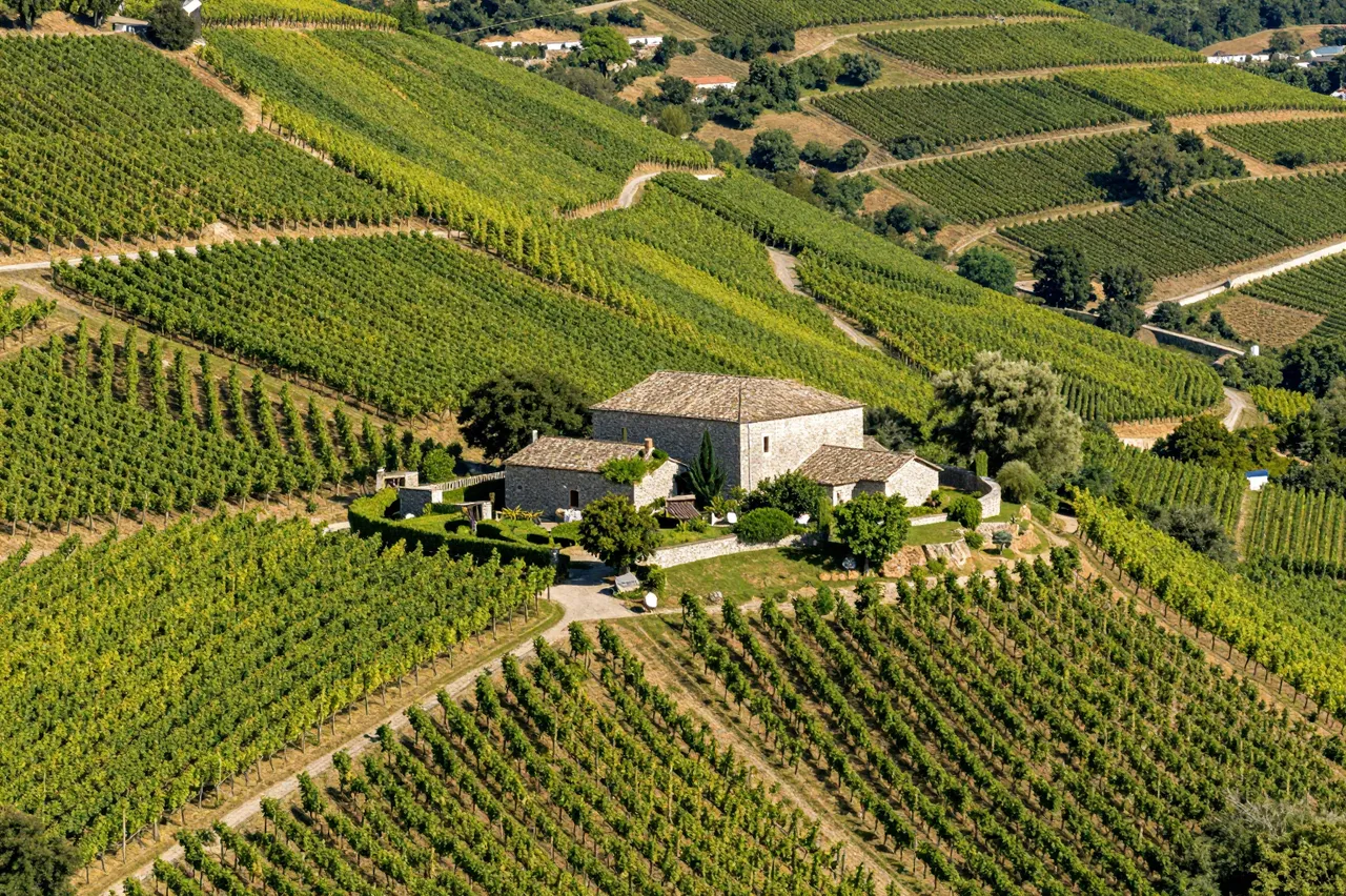 Aerial view of a stone farmhouse set among rolling terraced vineyards on a sunlit hillside