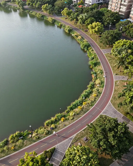 High angle aerial view of a paved running path curving alongside a lake in a lush city park