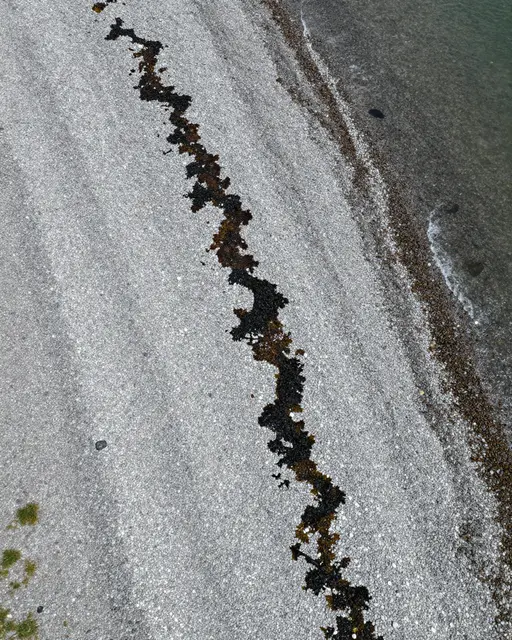 Top-down aerial view of a gray pebble beach with curving dark seaweed at the tide line next to shallow water.