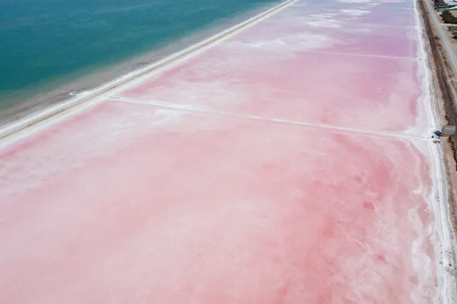 Top-down aerial view of pink salt evaporation ponds adjacent to turquoise coastal sea water