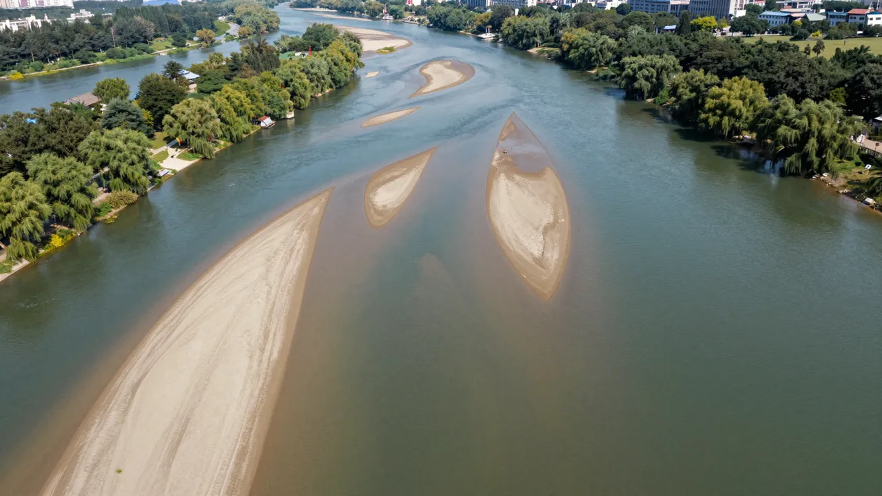 High angle aerial view of a wide summer river dotted with sandy sandbars and tree-lined banks