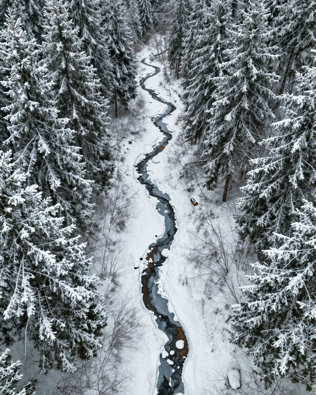 Top-down aerial view of a winding partially frozen creek cutting through snow-covered evergreen forest.
