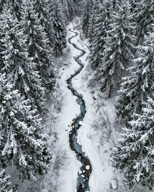 Top-down aerial view of a winding partially frozen creek cutting through snow-covered evergreen forest.