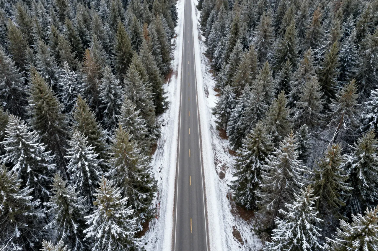 Straight paved road cuts through dense snow-covered pine trees viewed from above
