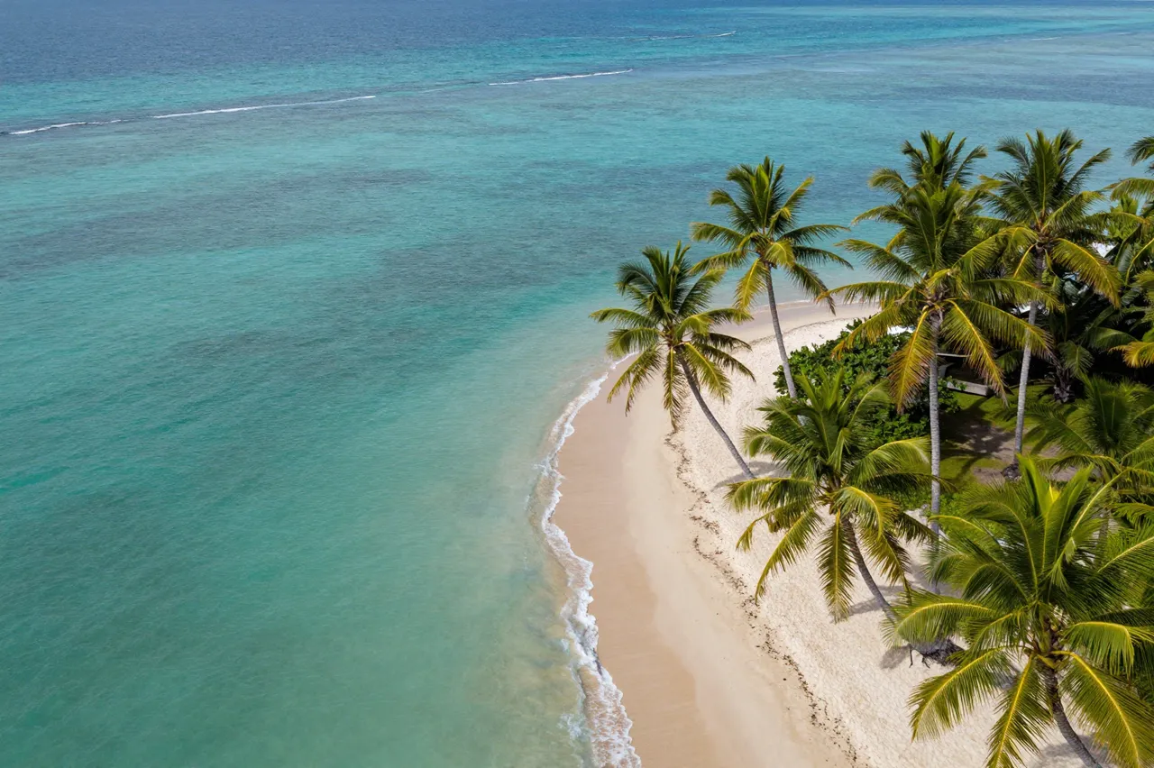 Aerial drone view of a curved tropical beach lined with leaning palm trees next to turquoise ocean water