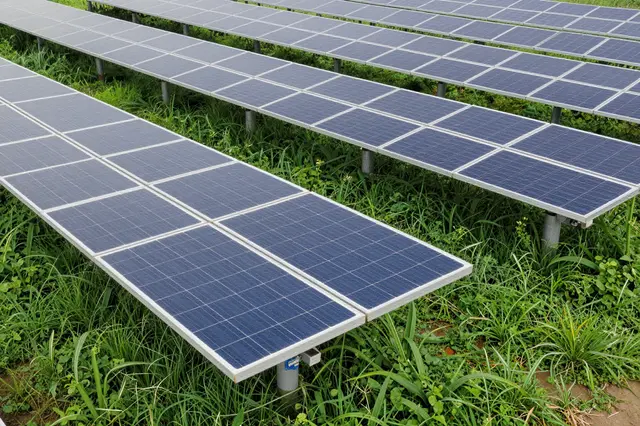 Rows of elevated solar panels sit above lush green vegetation in an agricultural solar farm.