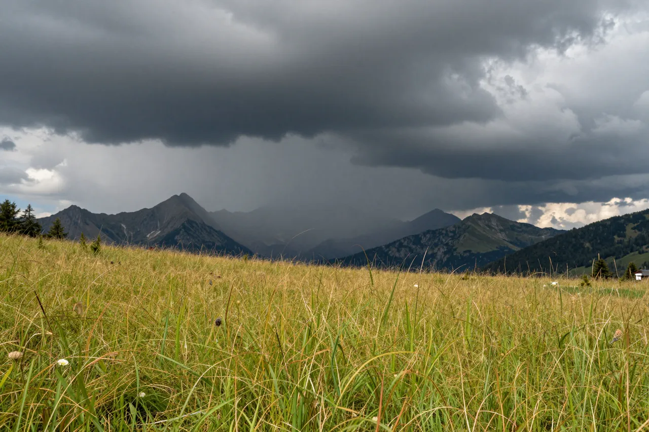 Sunlit alpine meadow stretches toward distant peaks under heavy dark thunderstorm clouds
