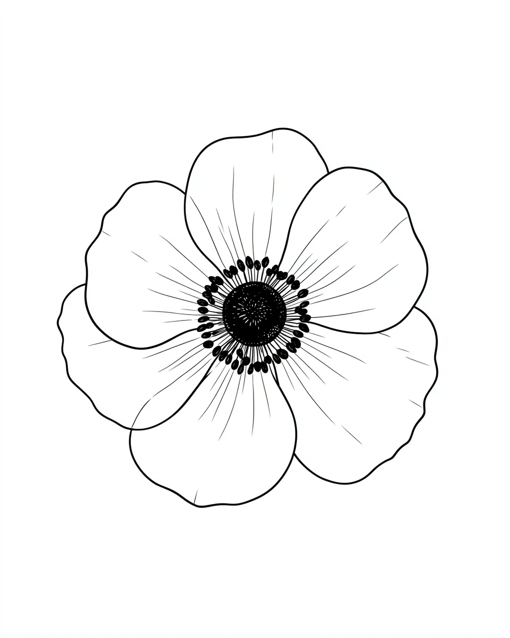 Minimalist fine line drawing of an anemone flower with a dark stamen center on a plain white background